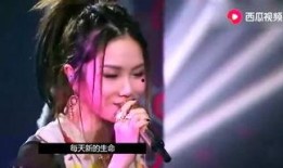 龙哥娱乐爆料视频大全,视频大全背后的精彩瞬间